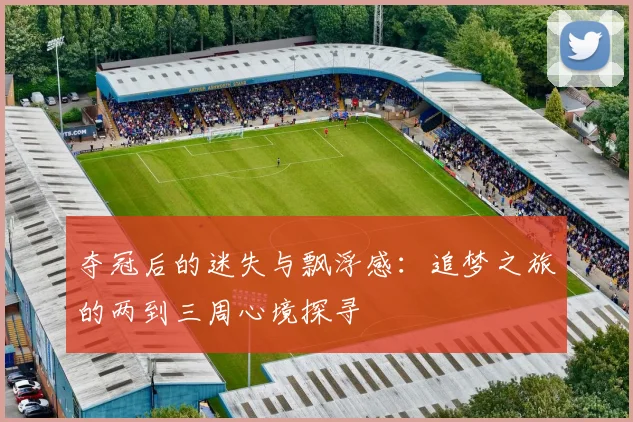 夺冠后的迷失与飘浮感：追梦之旅的两到三周心境探寻