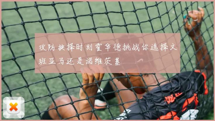 攻防抉择时刻霍华德挑战你选择文班亚马还是诺维茨基